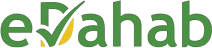 eDahab